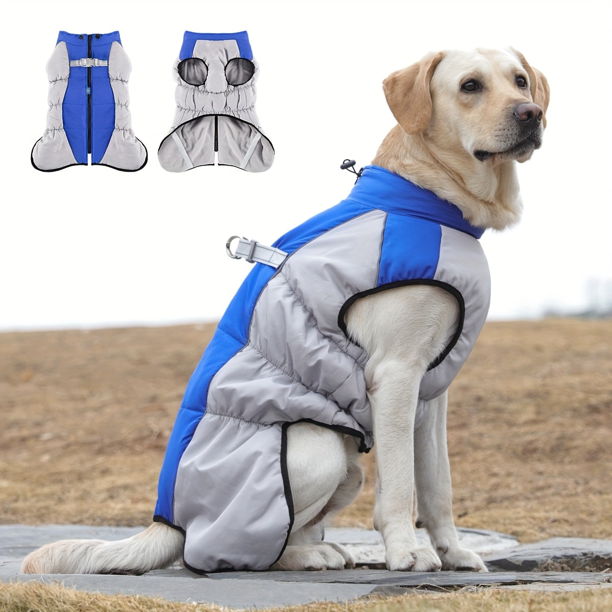 Winter Windproof Dog Jacket with Pit Bulls & Medium/Large Dogs - French Door Zipper Coat, Adjustable Buckle, Machine Washable Warm Outerwear for Outdoor Protection (Suitable for chilly spring & winter)