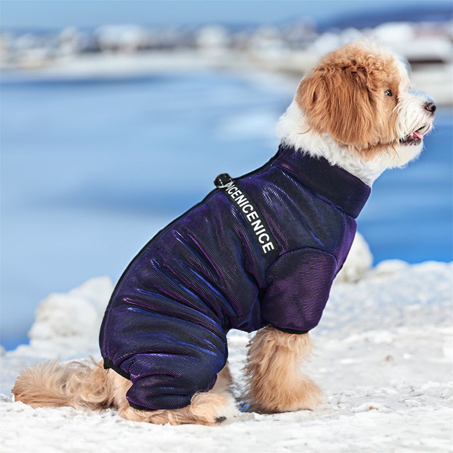 Dog Costume, Soft Warm Letters Indoor Outdoor Winter Jacket Clothes Pet Supplies, Without Battery
