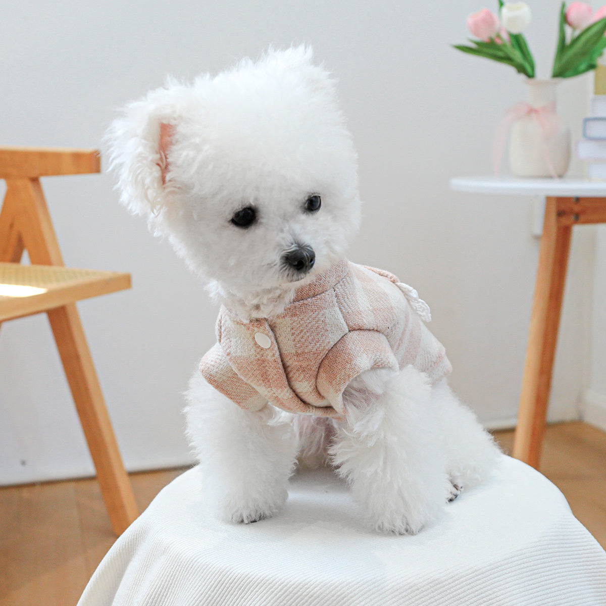 Pink Plaid Dog Jacket with Teddy Bear Buttons & Lace Trim - Soft Warm Winter Coat Suitable for Small Pomeranians, Chihuahuas, Shih Tzus, Poodles - Snap-On/Pullover Pet Sweater for Puppies & Small Dogs (Zipper or Button Closur
