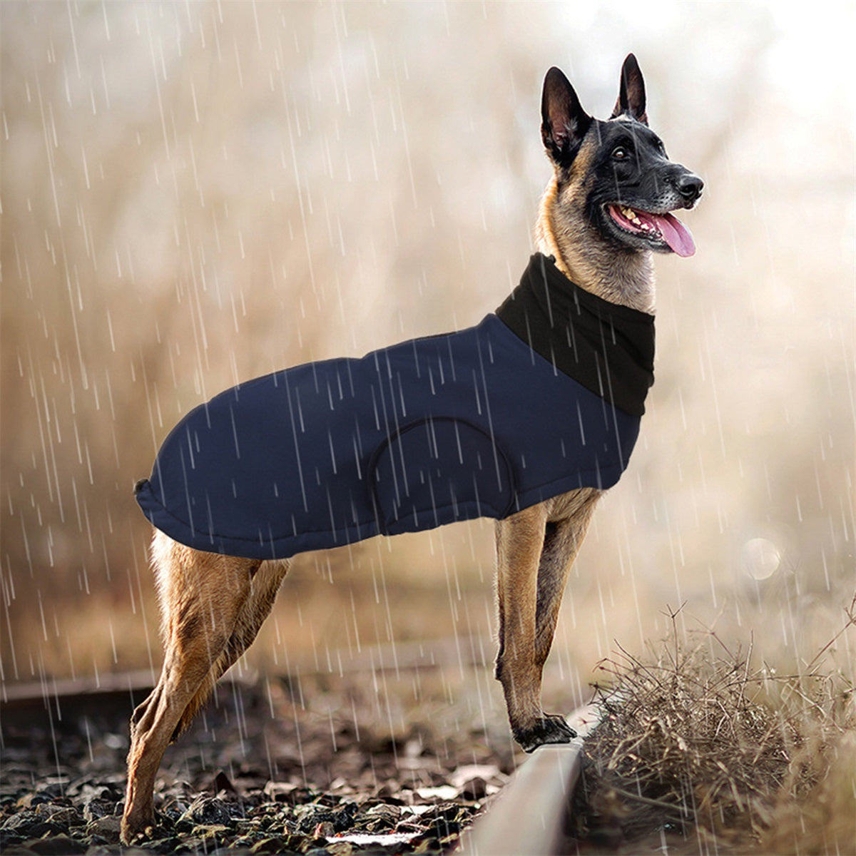 Waterproof Insulated Dog Winter Jacket Vest - Soft Warm Coat for Large & Medium Dogs (Labrador, German Shepherd), Adjustable Padded Vest with Buckle Closure, Indoor/Outdoor Cold Weather, Durable Pet Clothes for Puppies & Dogs