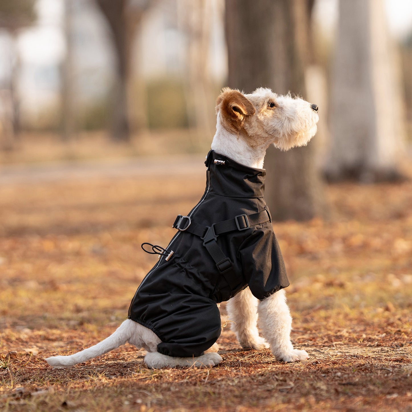 Mile High Life Waterproof Dog Raincoat, Full Coverage Small Dog Rain Coat with Harness, Adjustable 4 Legs Puppy Rain Jacket with Reflective Strip and Elastic Cuffs