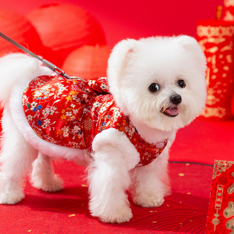 3D Butterfly Design Dog Apparel for Autumn And Winter, New Year'S Pet Clothing for Bi Xiong Puppies from Taiwan