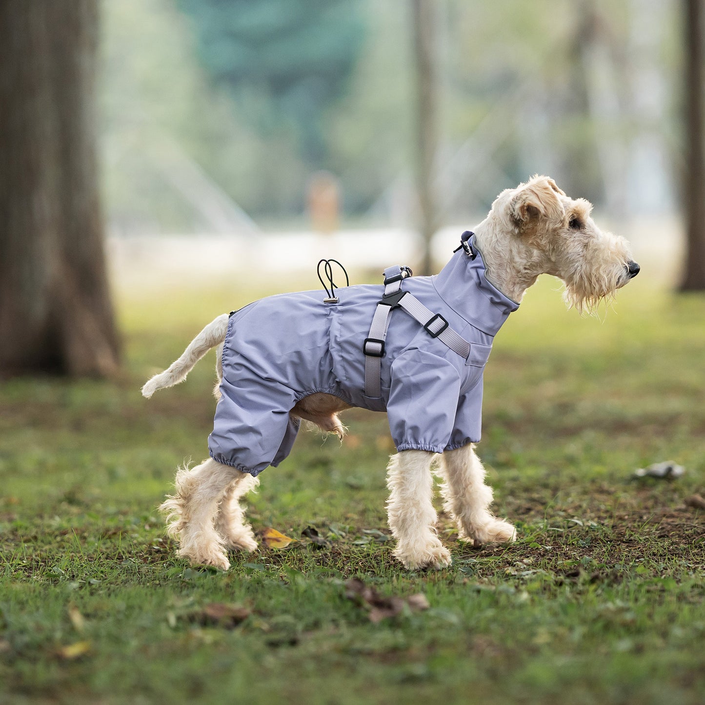 Mile High Life Waterproof Dog Raincoat, Full Coverage Small Dog Rain Coat with Harness, Adjustable 4 Legs Puppy Rain Jacket with Reflective Strip and Elastic Cuffs