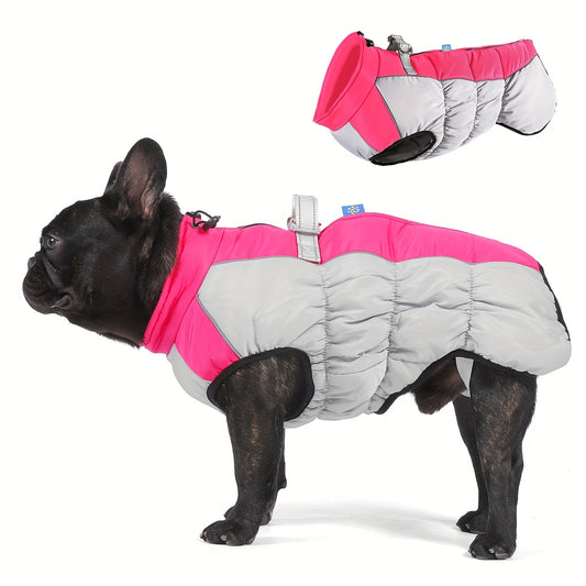Winter Windproof Dog Jacket with Pit Bulls & Medium/Large Dogs - French Door Zipper Coat, Adjustable Buckle, Machine Washable Warm Outerwear for Outdoor Protection (Suitable for chilly spring & winter)
