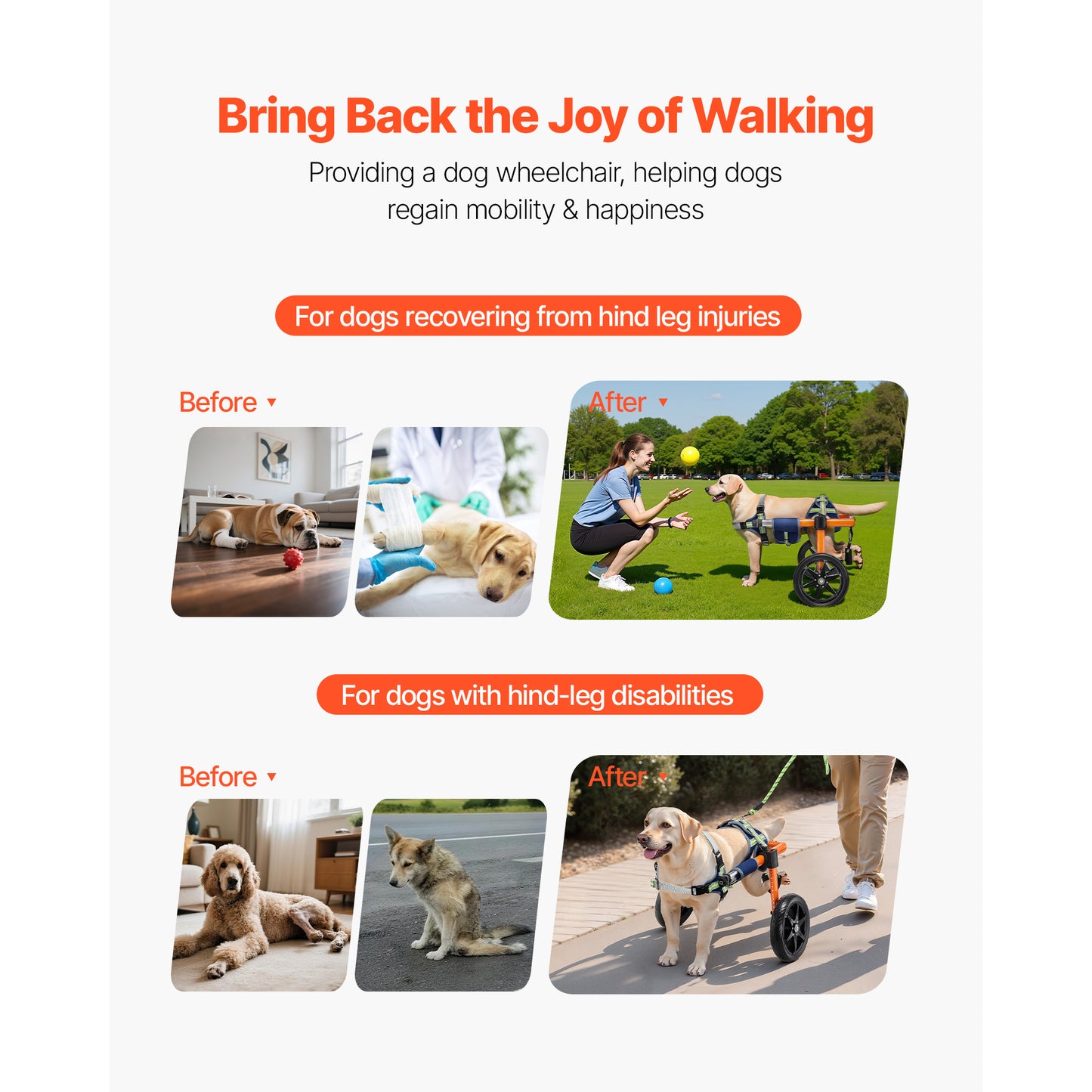 VEVOR Dog Wheelchair for Back Legs, Lightweight 2 Wheels Pet Wheelchair, Height, Width & Length Adjustable, Dog Cart with Shock-Absorbing Wheels, for Injured, Disabled Dogs 35-48 lbs / 48-88 lbs, Medium/Large-Size
