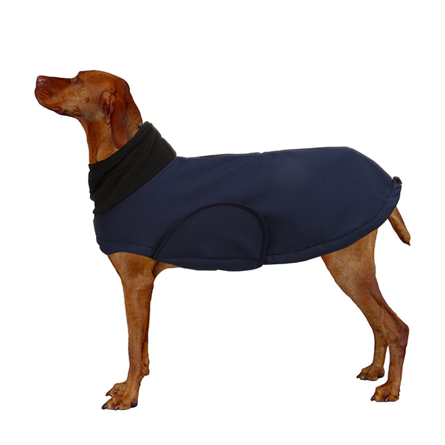 Waterproof Insulated Dog Winter Jacket Vest - Soft Warm Coat for Large & Medium Dogs (Labrador, German Shepherd), Adjustable Padded Vest with Buckle Closure, Indoor/Outdoor Cold Weather, Durable Pet Clothes for Puppies & Dogs