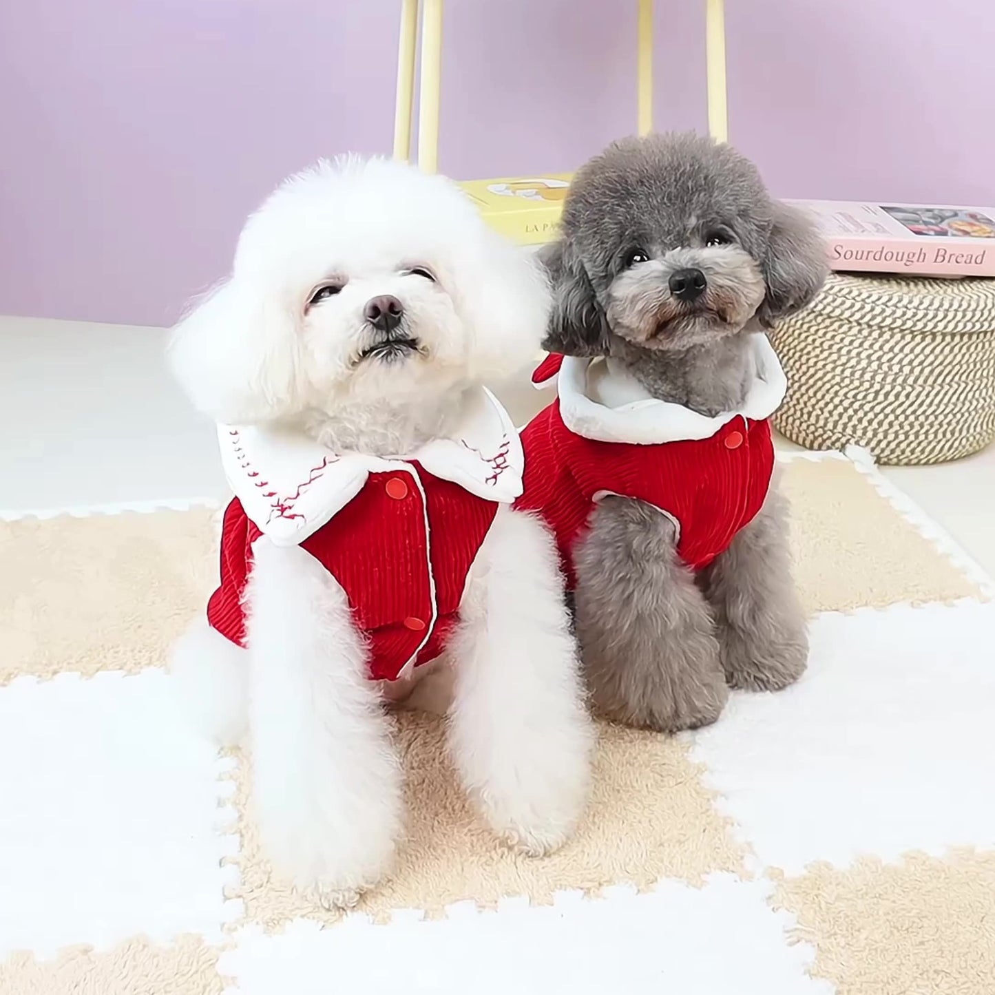 Pet Winter Hoodies Cute Panda Plush Autumn Warm Puppy Sweatshirts Cat