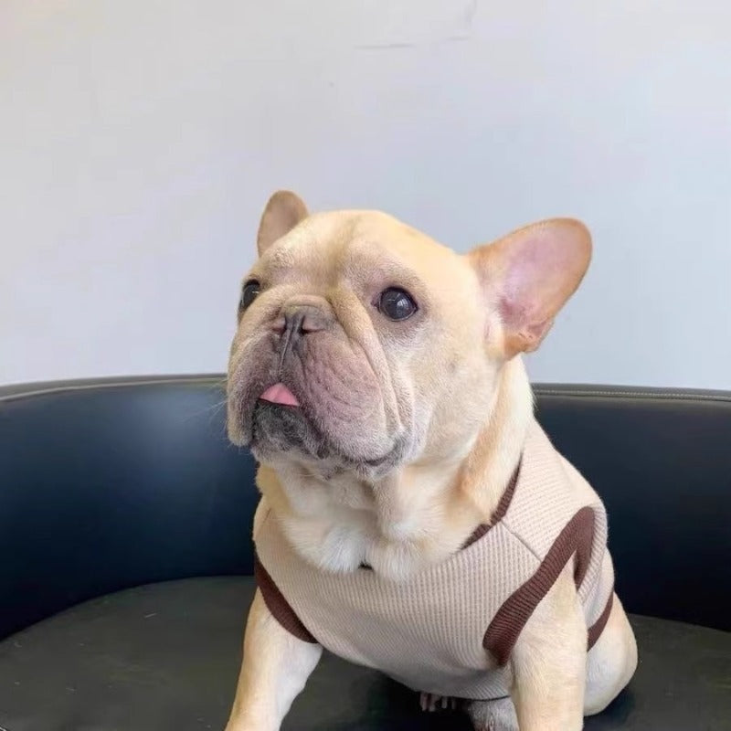 Warm Winter Dog Sweater with Bear Face Design & Anti-Shedding Technology - Cozy Pullover/Snap Button Closure for Small, Medium & Large Breeds (French Bulldog, Corgi, Schnauzer, Teddy, Bago) - Soft Pet Sweater for Cold Weather