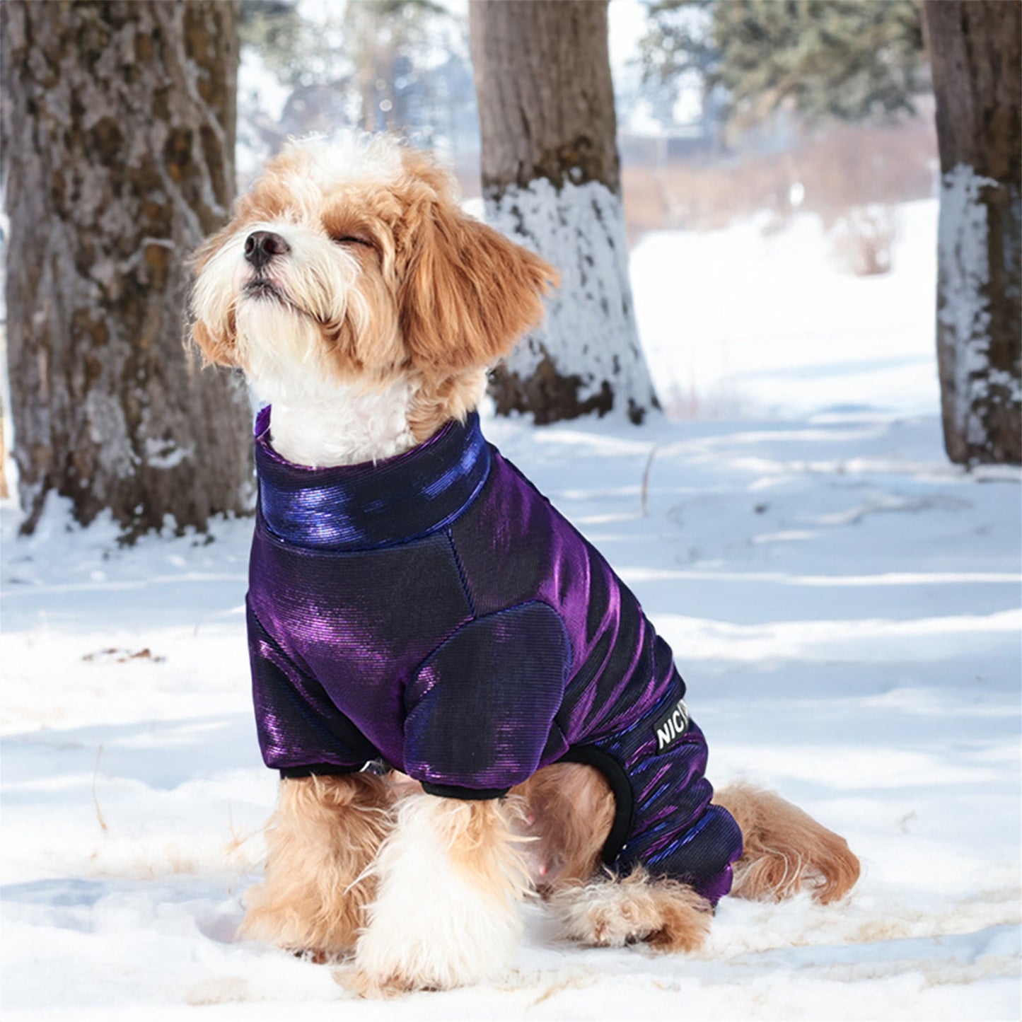 Dog Costume, Soft Warm Letters Indoor Outdoor Winter Jacket Clothes Pet Supplies, Without Battery