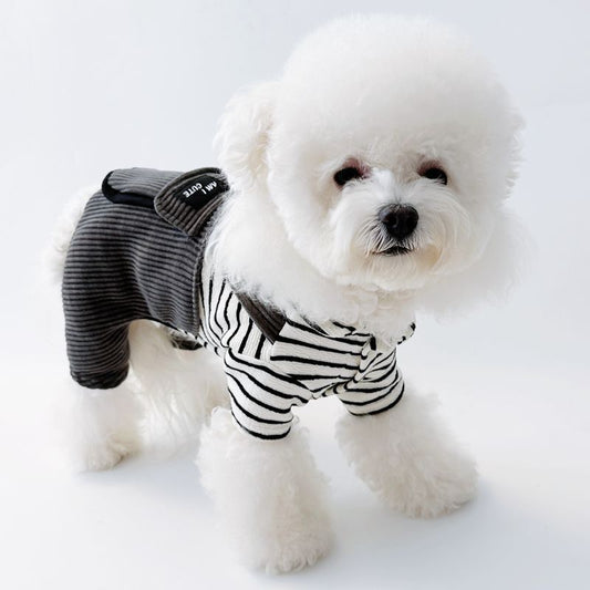 Small Breed Dog & Cat Winter Warm Corduroy-Like Jacket with Collar & Adjustable Buckle Belt - Pomeranian, Chihuahua, Shih Tzu Coat | Cozy Pet Clothes for Xmas, Cold Weather (Grey, Easy On/Off)