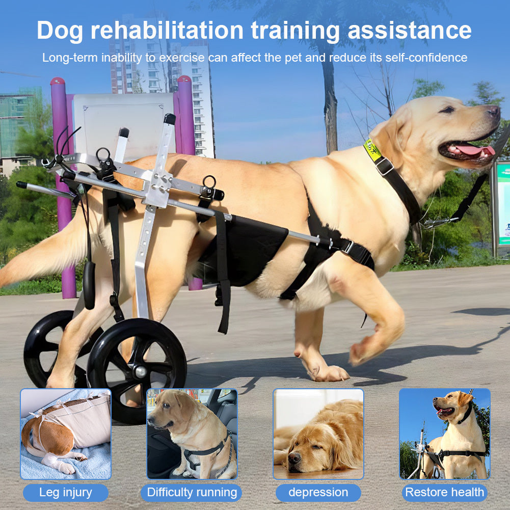 Adjustable Heavy-Duty Dog Wheelchair Cart for Large Breeds - Paralysis & Mobility Aid with Rear Limb Support, Hip Brace & Quad-Leg Stability - Lightweight Foldable Pet Wheelchair for Disabled Labrador, German Shepherd, (Up to