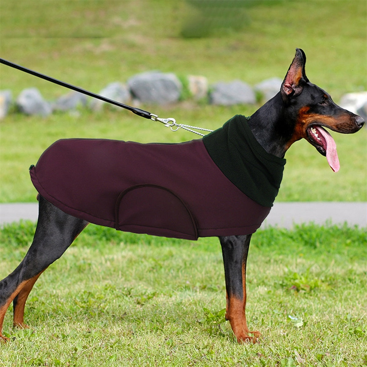 Waterproof Insulated Dog Winter Jacket Vest - Soft Warm Coat for Large & Medium Dogs (Labrador, German Shepherd), Adjustable Padded Vest with Buckle Closure, Indoor/Outdoor Cold Weather, Durable Pet Clothes for Puppies & Dogs