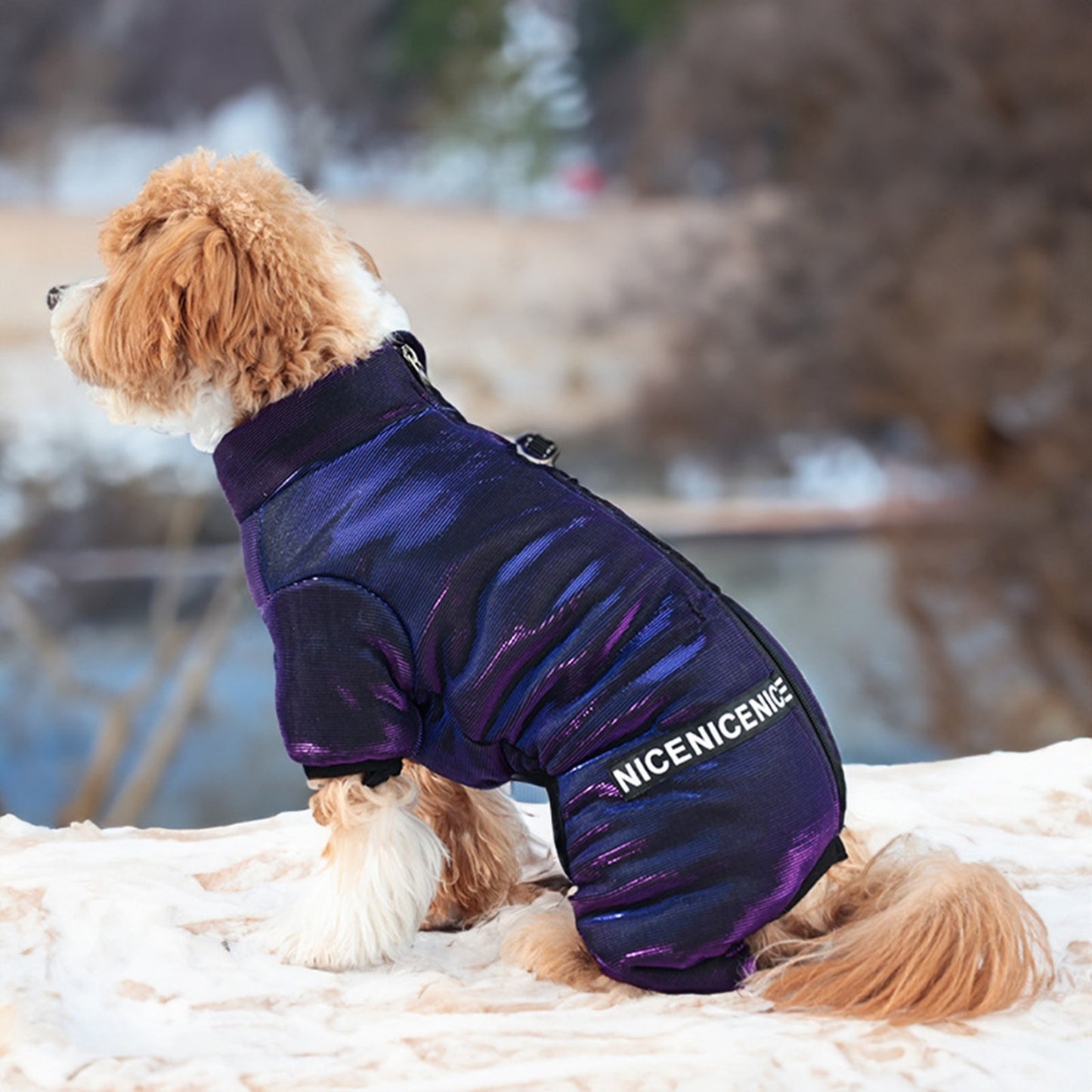 Dog Costume, Soft Warm Letters Indoor Outdoor Winter Jacket Clothes Pet Supplies, Without Battery