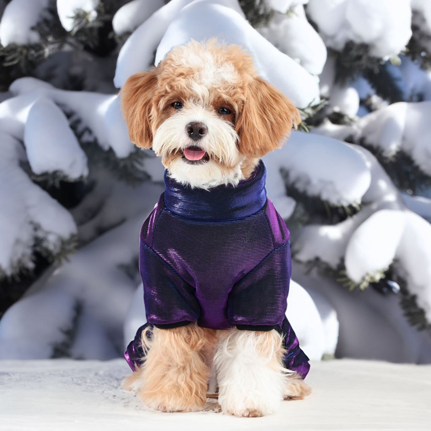 Dog Costume, Soft Warm Letters Indoor Outdoor Winter Jacket Clothes Pet Supplies, Without Battery