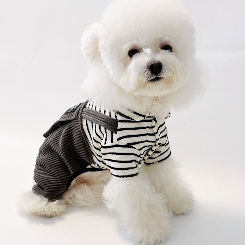 Small Breed Dog & Cat Winter Warm Corduroy-Like Jacket with Collar & Adjustable Buckle Belt - Pomeranian, Chihuahua, Shih Tzu Coat | Cozy Pet Clothes for Xmas, Cold Weather (Grey, Easy On/Off)